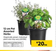 12cm Pot Assorted Herbs-Each