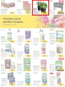 Builders : Thumbs-Up To A Fresh Start (28 Aug - 14 Oct 2018), page 51