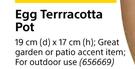 Egg Terracotta Pot-19cm(d) x 17cm(h)