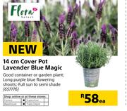 Flora 14cm Cover Pot Lavender Blue Magic-Each