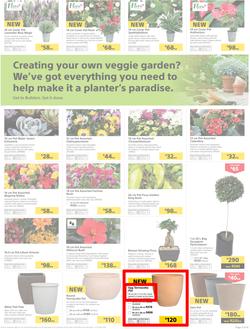 Builders : Thumbs-Up To A Fresh Start (28 Aug - 14 Oct 2018), page 52