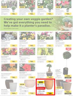 Builders : Thumbs-Up To A Fresh Start (28 Aug - 14 Oct 2018), page 52