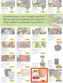 Builders : Thumbs-Up To A Fresh Start (28 Aug - 14 Oct 2018), page 52