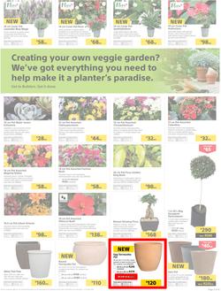 Builders : Thumbs-Up To A Fresh Start (28 Aug - 14 Oct 2018), page 52