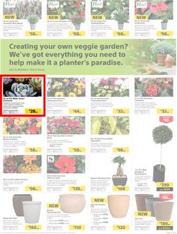 Builders : Thumbs-Up To A Fresh Start (28 Aug - 14 Oct 2018), page 52