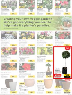 Builders : Thumbs-Up To A Fresh Start (28 Aug - 14 Oct 2018), page 52