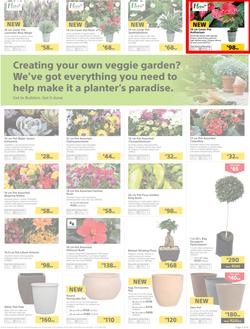 Builders : Thumbs-Up To A Fresh Start (28 Aug - 14 Oct 2018), page 52