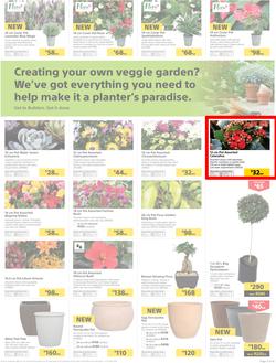 Builders : Thumbs-Up To A Fresh Start (28 Aug - 14 Oct 2018), page 52