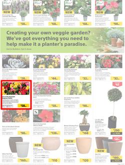 Builders : Thumbs-Up To A Fresh Start (28 Aug - 14 Oct 2018), page 52