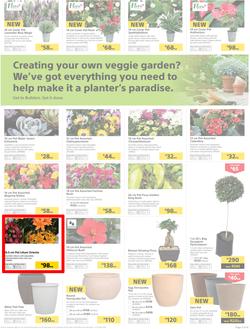 Builders : Thumbs-Up To A Fresh Start (28 Aug - 14 Oct 2018), page 52