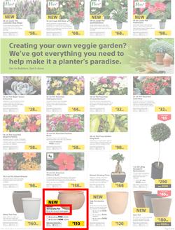 Builders : Thumbs-Up To A Fresh Start (28 Aug - 14 Oct 2018), page 52