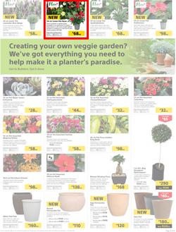 Builders : Thumbs-Up To A Fresh Start (28 Aug - 14 Oct 2018), page 52