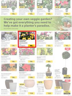 Builders : Thumbs-Up To A Fresh Start (28 Aug - 14 Oct 2018), page 52