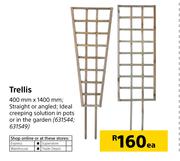 Trellis-400mm x 1400mm Each