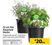 12cm Pot Assorted Herbs-Each
