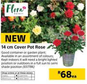 Flora 14cm Cover Pot Rose-Each