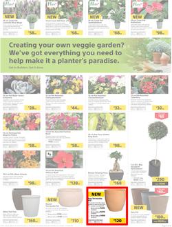 Builders Inland : Thumbs-Up To A Fresh Start (28 Aug - 14 Oct 2018), page 3