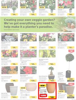 Builders Inland : Thumbs-Up To A Fresh Start (28 Aug - 14 Oct 2018), page 3