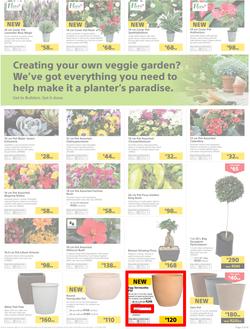 Builders Inland : Thumbs-Up To A Fresh Start (28 Aug - 14 Oct 2018), page 3