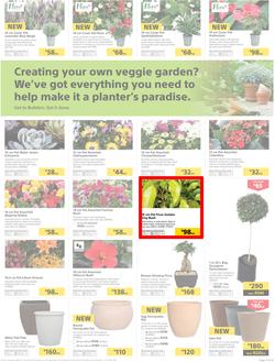 Builders Inland : Thumbs-Up To A Fresh Start (28 Aug - 14 Oct 2018), page 3