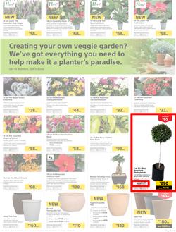 Builders Inland : Thumbs-Up To A Fresh Start (28 Aug - 14 Oct 2018), page 3