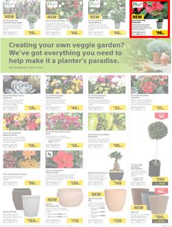Builders Inland : Thumbs-Up To A Fresh Start (28 Aug - 14 Oct 2018), page 3