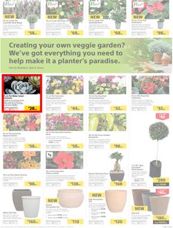 Builders Inland : Thumbs-Up To A Fresh Start (28 Aug - 14 Oct 2018), page 3