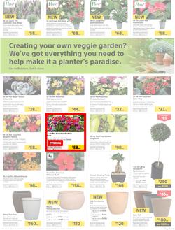 Builders Inland : Thumbs-Up To A Fresh Start (28 Aug - 14 Oct 2018), page 3