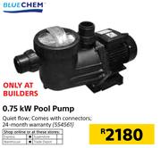 Blue Chem 0.75kW Pool Pump
