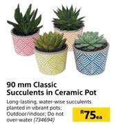 90mm Classic Succulents In Ceramic Pot-Each