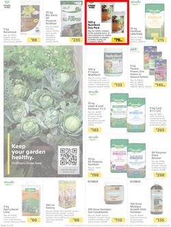 Builders : Here's To The Great Outdoors (3 September - 1 November 2021), page 6