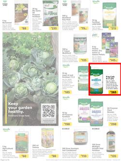 Builders : Here's To The Great Outdoors (3 September - 1 November 2021), page 6