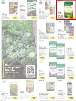 Builders : Here's To The Great Outdoors (3 September - 1 November 2021), page 6