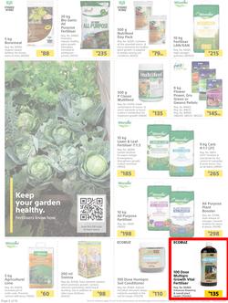 Builders : Here's To The Great Outdoors (3 September - 1 November 2021), page 6