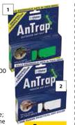 Pro Tek 2 Pack Indoor Antrap-Each