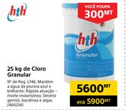 HTH 25 Kg de Cloro Granular