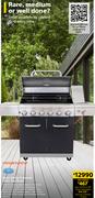 Megamaster Apex Series 6-Burner Patio Gas Braai