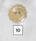 Home & Kitchen Gold Base Crystal Knob