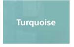 Parrot Products Turquoise Hob Splashback (Large)