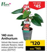 Flora 140mm Anthurium