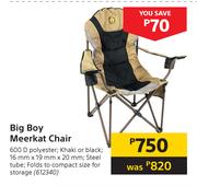 Big Boy Meerkat Chair