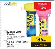 Pool Brite Month Mate Floater 1.5kg Algae Preventer-Each