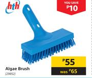 HTH Algae Brush