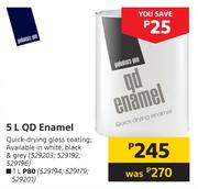 Painters Pro QD Enamel-5Ltr