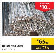 Reinforced Steel 6m Y12-Each