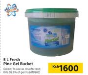 Fresh Pine Gel Bucket-5ltr
