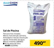 Blue Chem Sal de Piscina