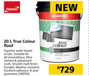 Plascon 20L True Colour Roof