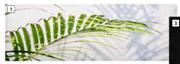 Palm Leaf Canvas-350mm x 1050mm