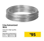 5kg Galvanised Wire
